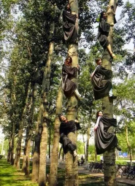 asiaticos