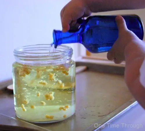 experimentos