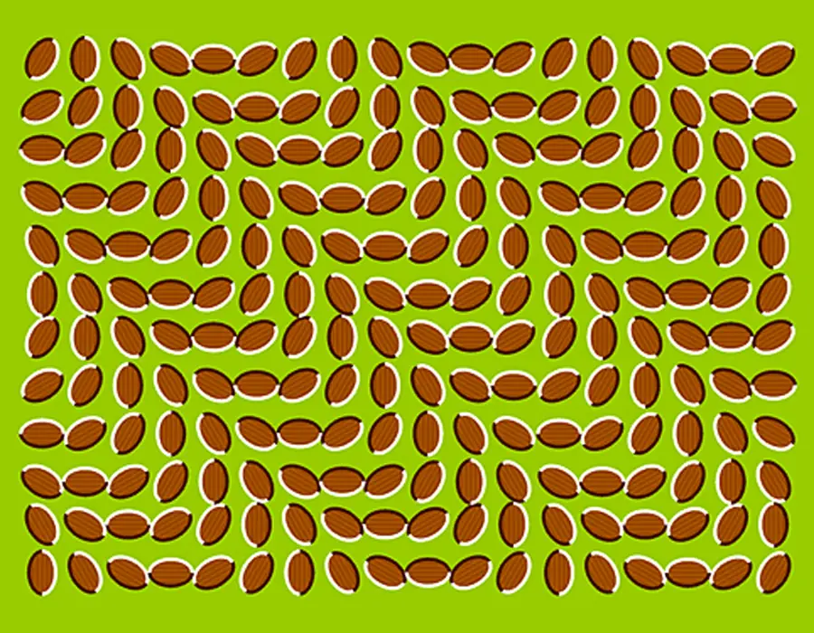 opticas
