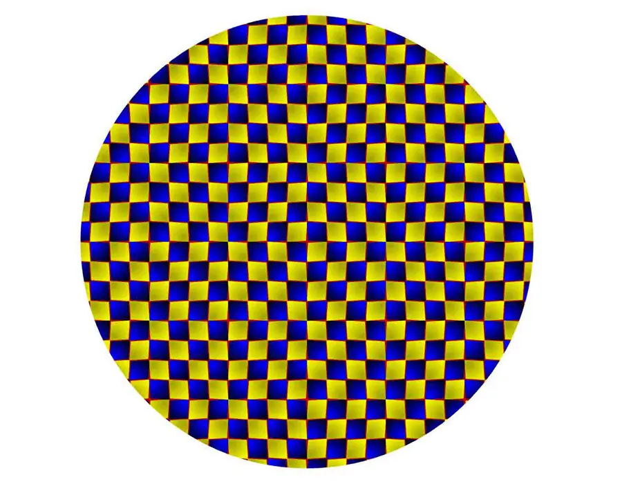 cerebro cerebro