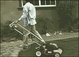Gifs