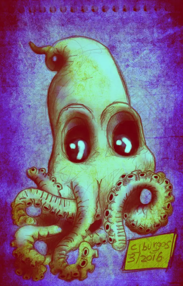 sketch
