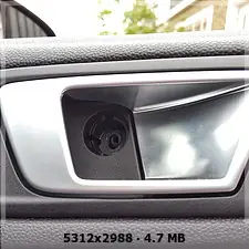 delantera