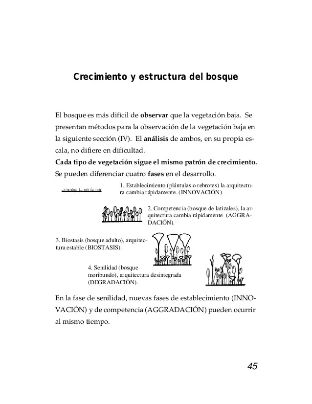 arquitectura