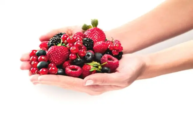 Frutos Rojos