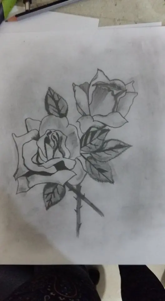 Drawing