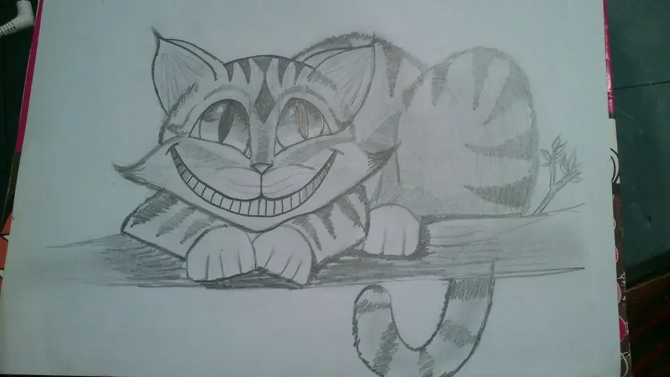 mis dibujos, se los muestro !!!