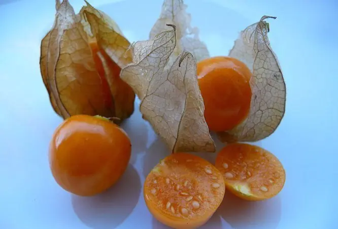 fruta