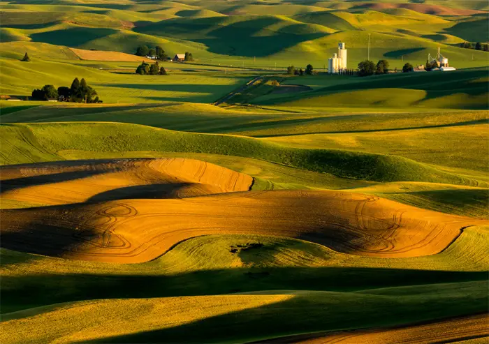 Los hermosos colores de las colinas de Palouse
