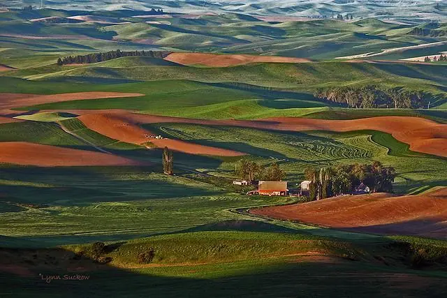 hermosos