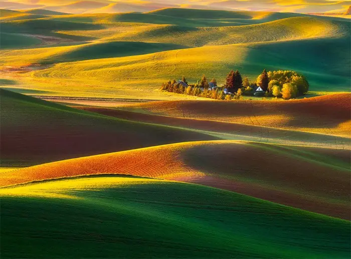 Los hermosos colores de las colinas de Palouse