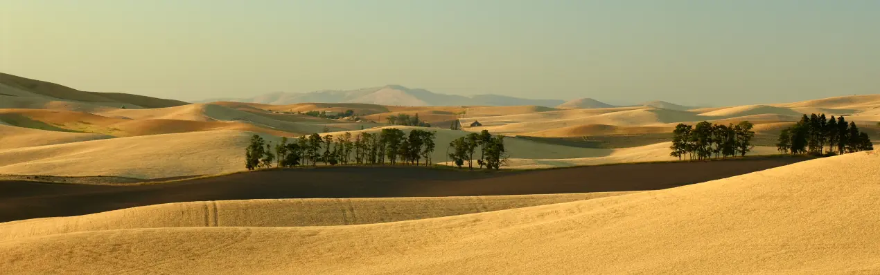 Los hermosos colores de las colinas de Palouse