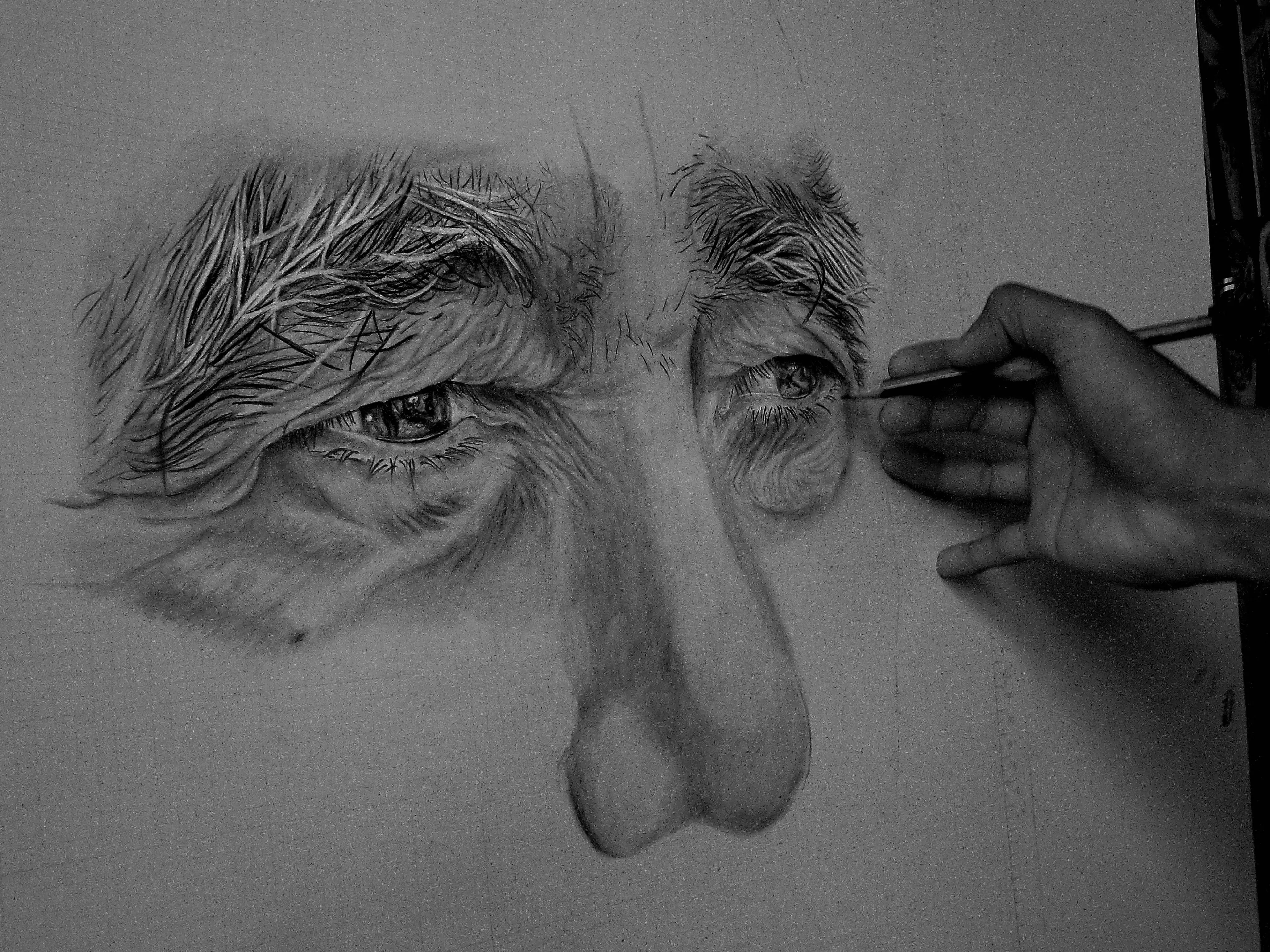 grafito