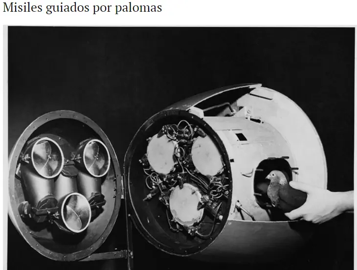 segunda guerra mundial