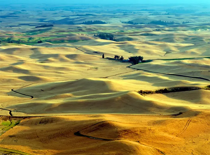 Palouse