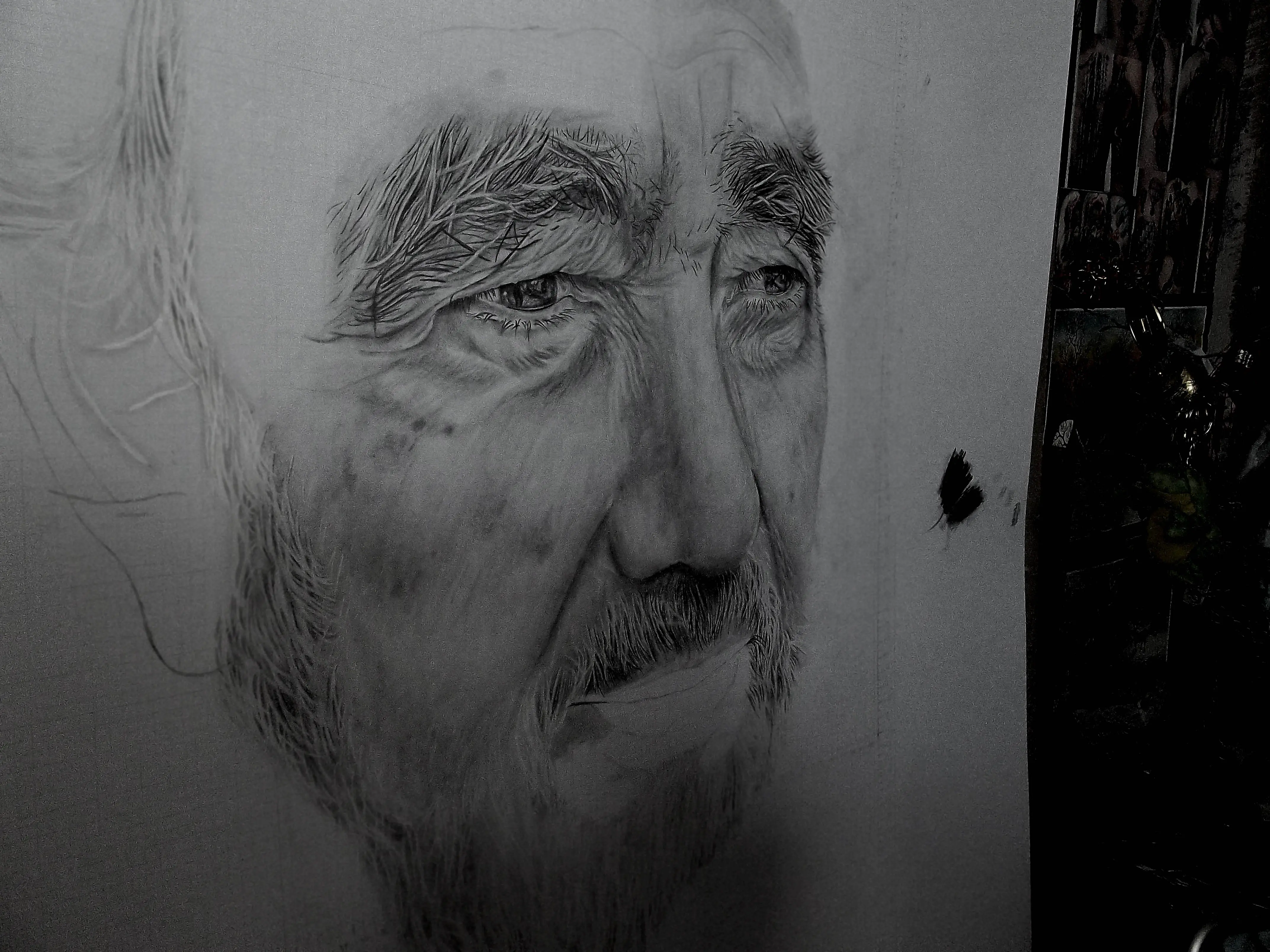 proceso