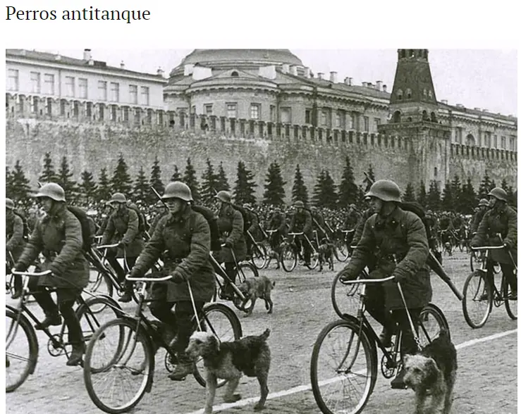 segunda guerra mundial