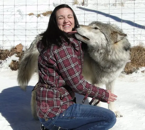 lobos