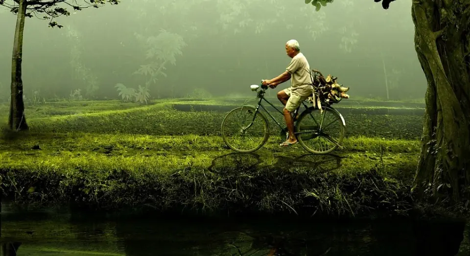 Sincronicidad: la ciencia detrás de las casualidades