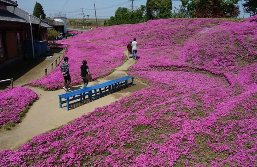 La historia de amor que trajo un jardín a la existencia La historia de amor que trajo un jardín a la existencia