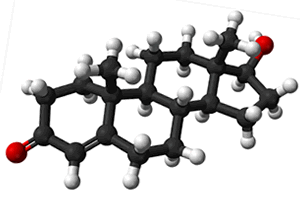 testosterona testosterona