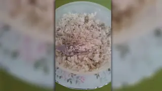 Recetas vegetarianas