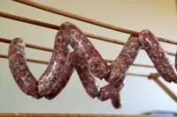 Salchicha