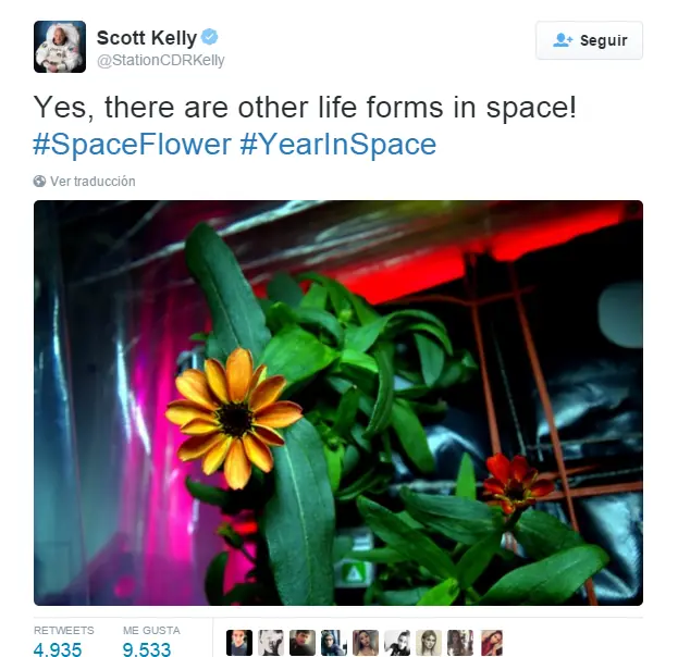 spaceXcohete