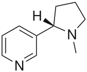 barbituricos