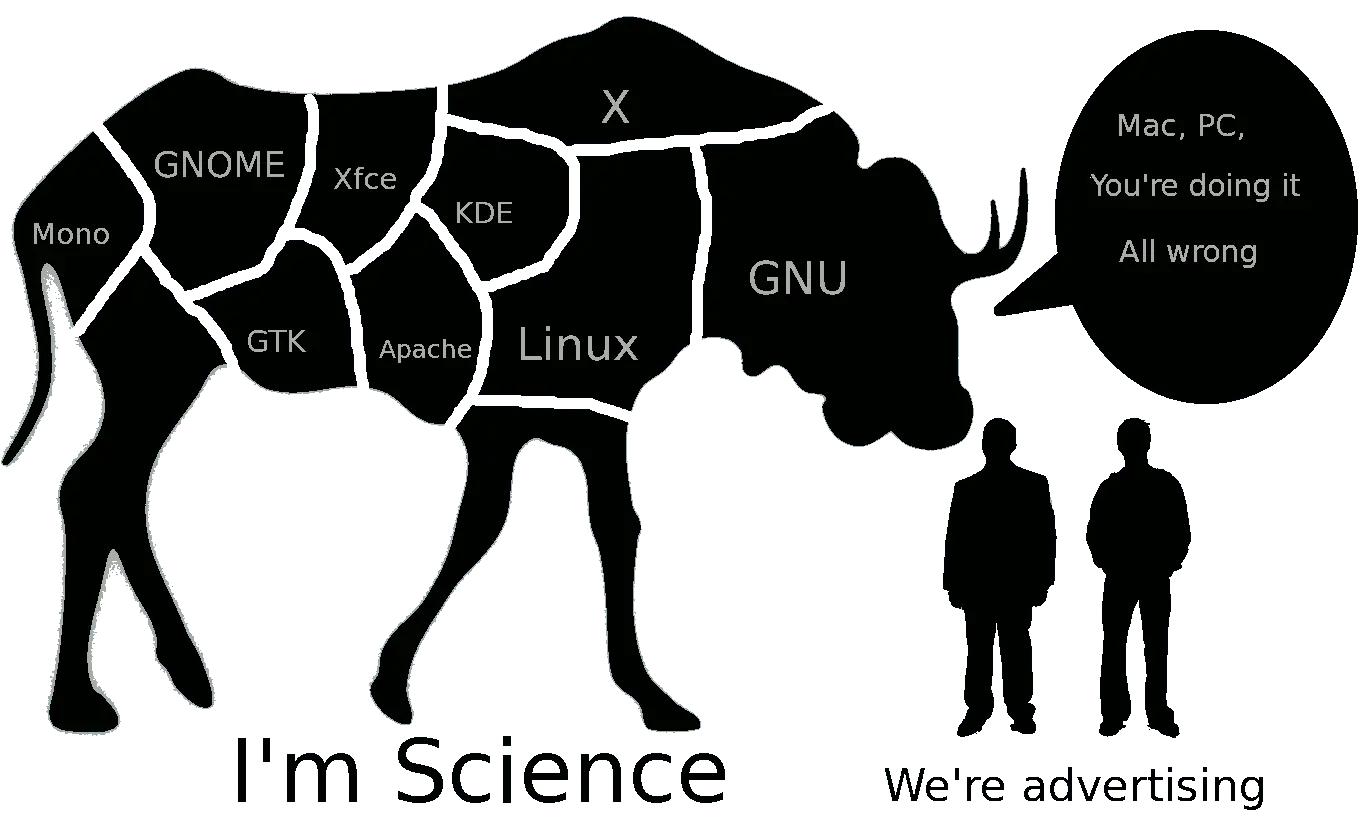 microsoft microsoft