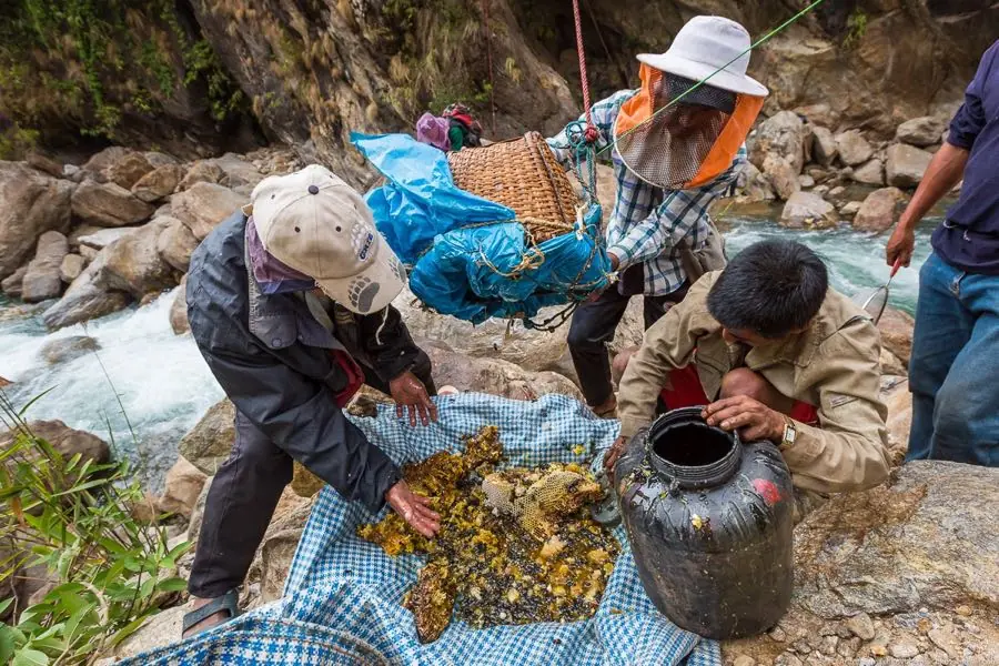 Nepal Nepal