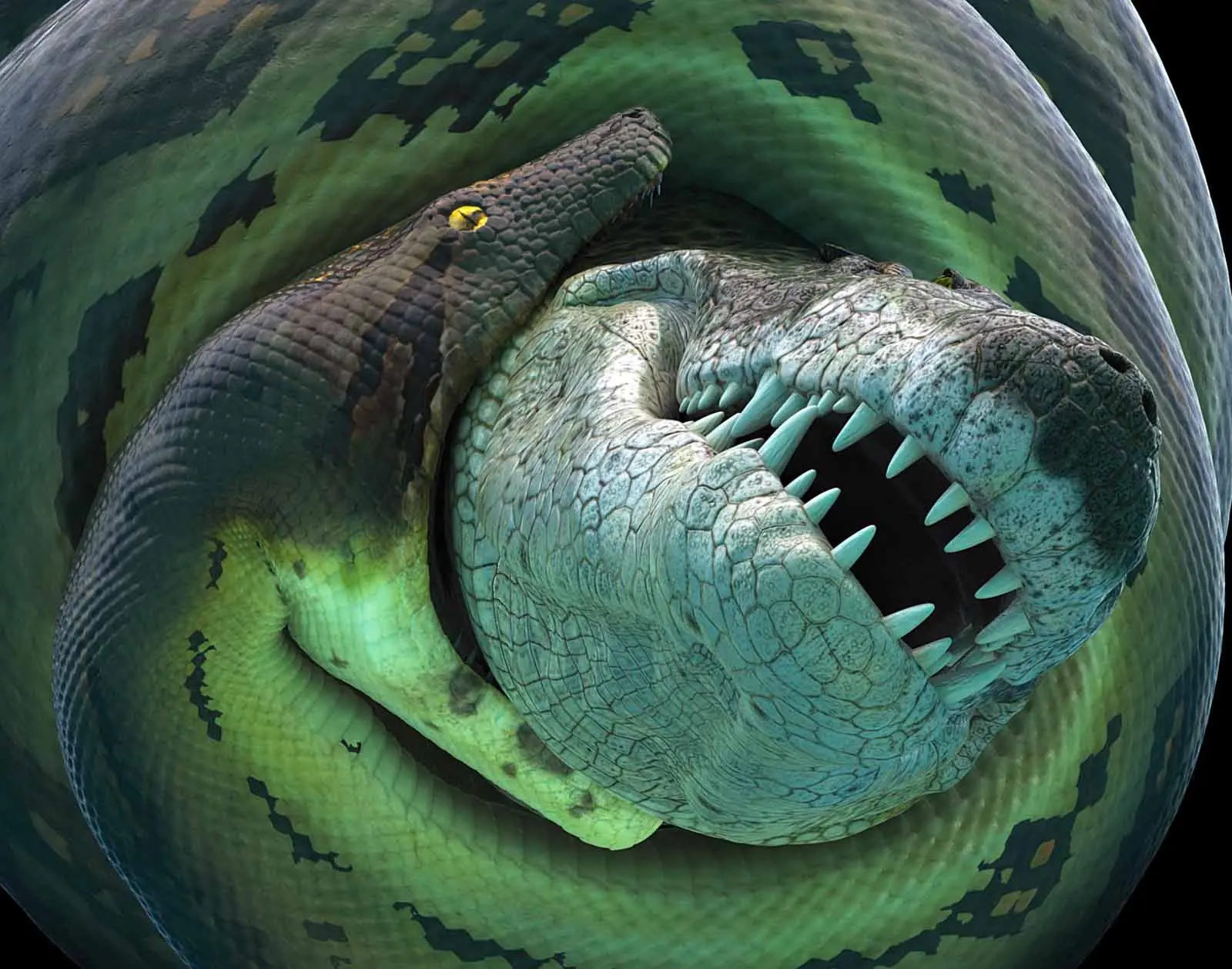 Titanoboa | Serpiente Gigante | Colombia