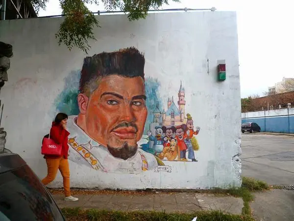 Ladris muy peludos