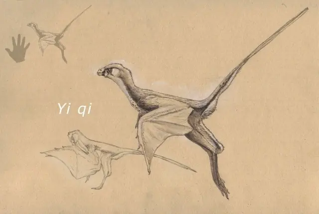 Dinosaurio con alas de murciélago: 20 preguntas