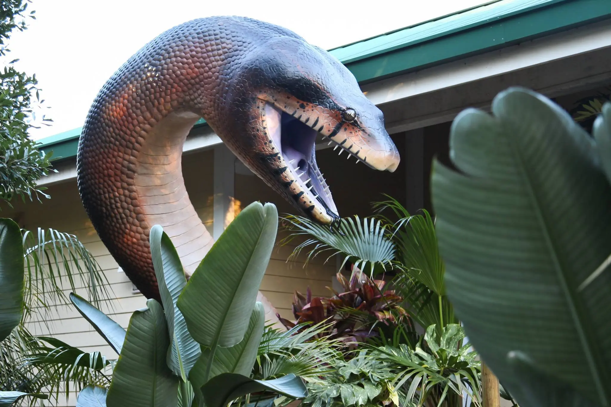 serpiente gigante
