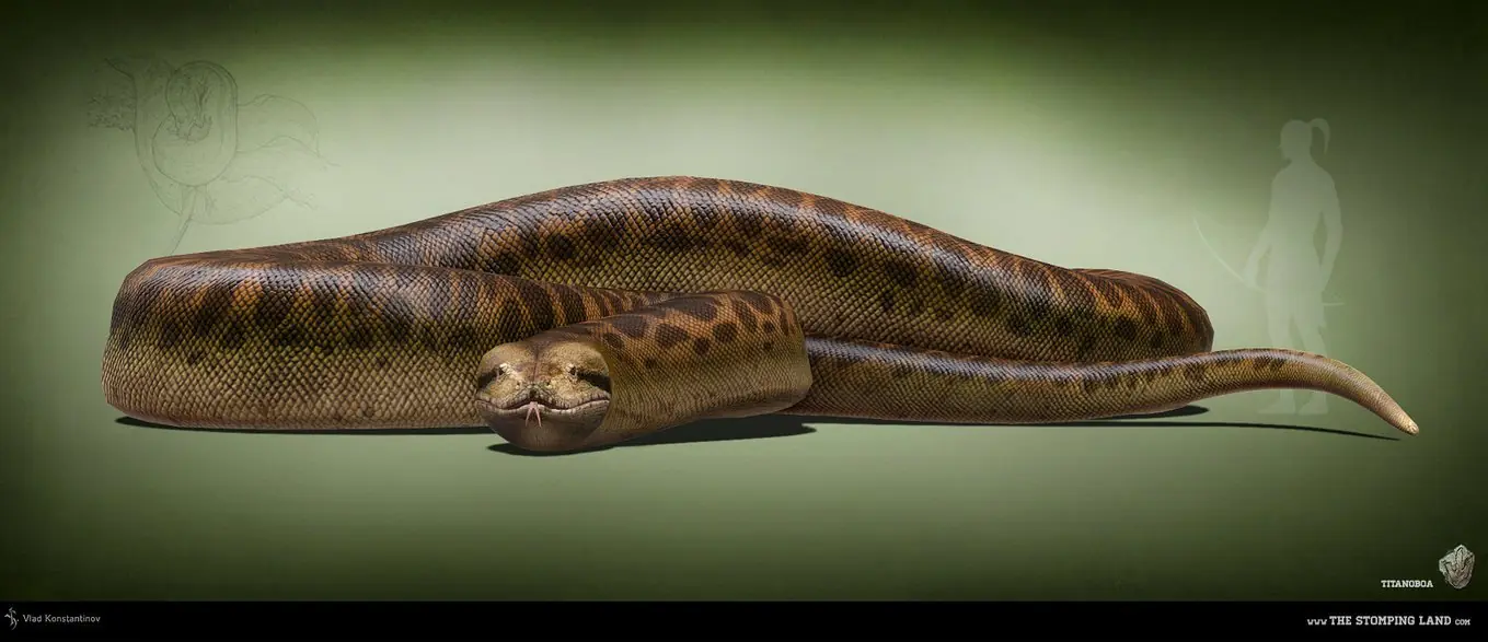 serpiente colombia