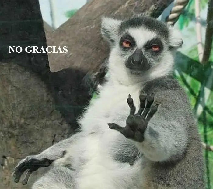 heterosexuales