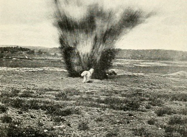 World War I