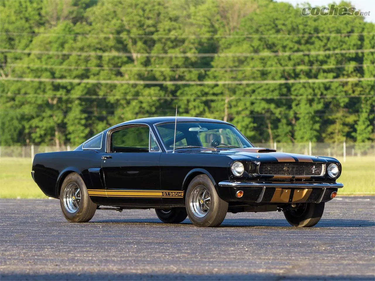 mustang mustang