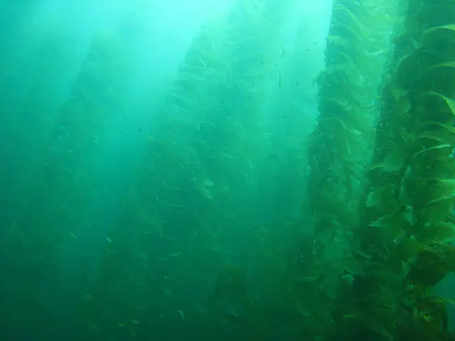 montanas humeantes montanas humeantes
