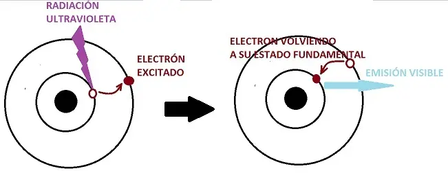 fluorescencia
