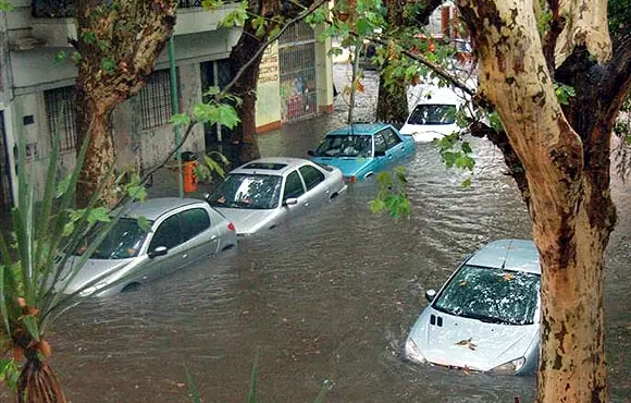 vehiculos vehiculos