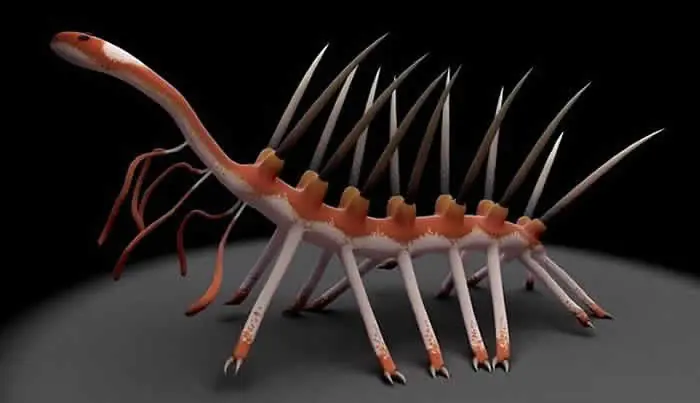 El Hallucigenia el gusano que vivió hace 508 millones de año
