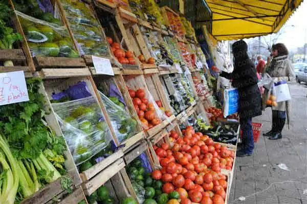 verduras verduras