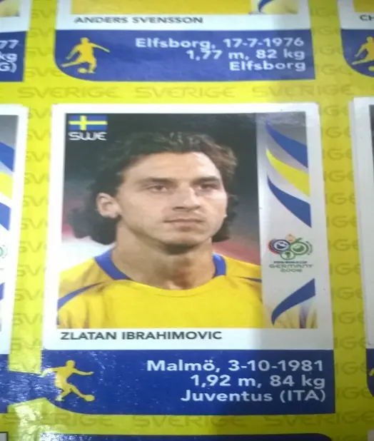 panini panini