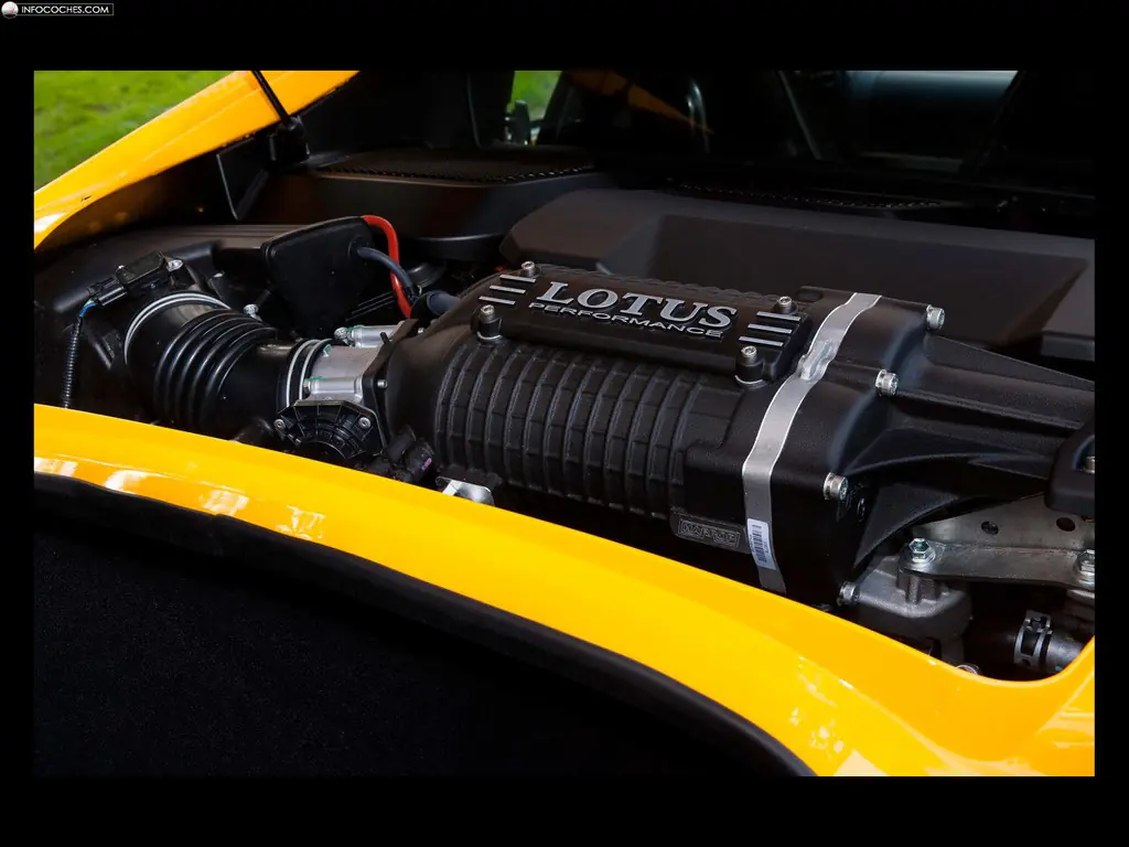 lotus lotus