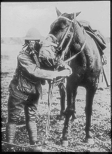 Animales. Los héroes olvidados de la 1º Guerra Mundial