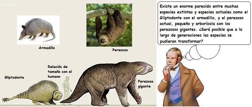 ciencia