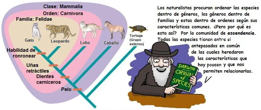 origenes