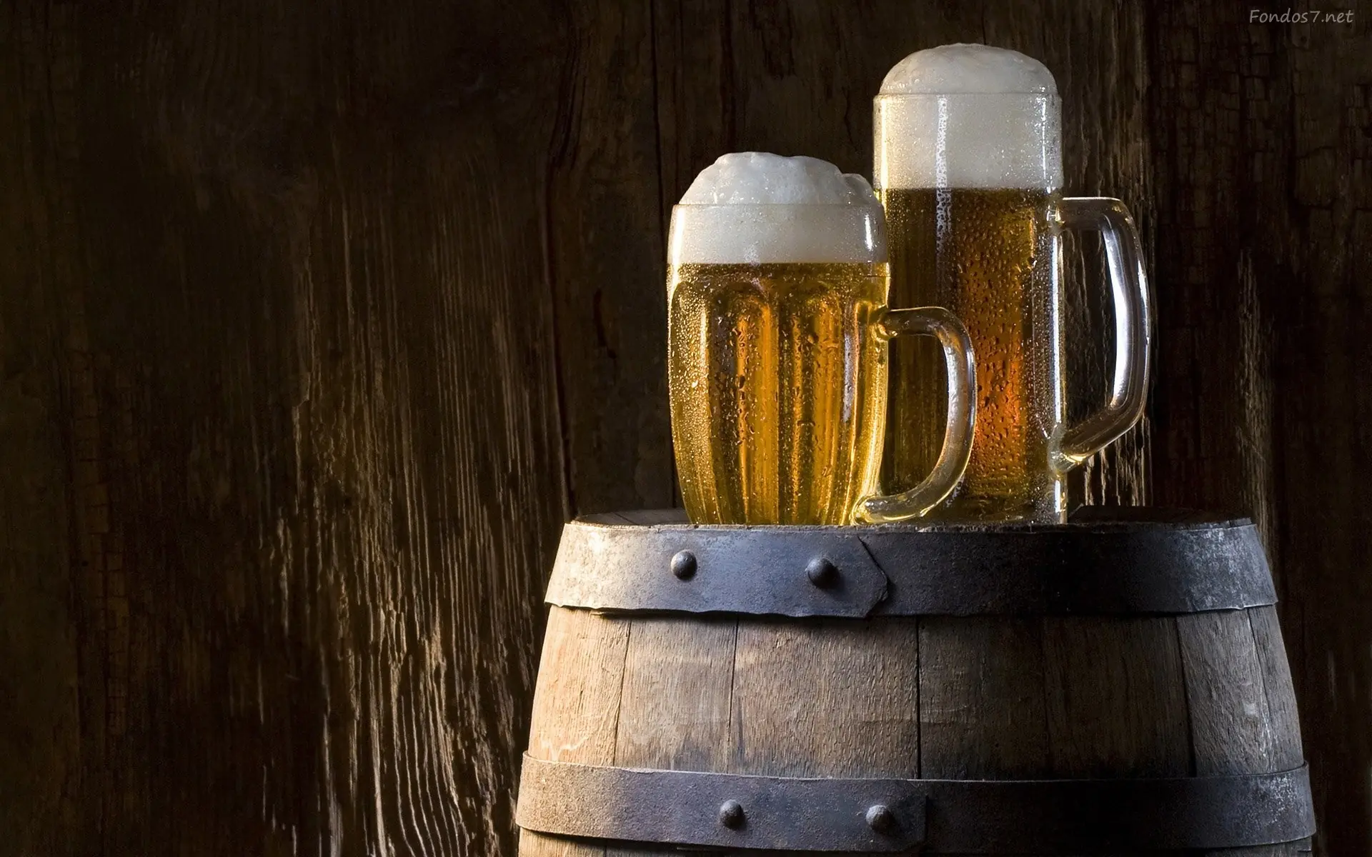 te gusta la cerveza